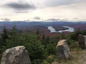 Meet your Posher, K. rhea